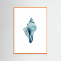 Blue Seashell On White Background No4 Poster – poster och konsttryck
