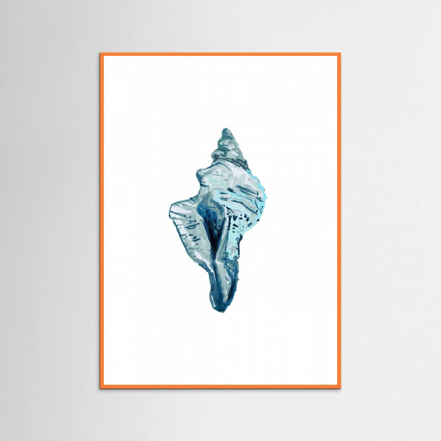 Blue Seashell On White Background No4 Poster – poster och konsttryck