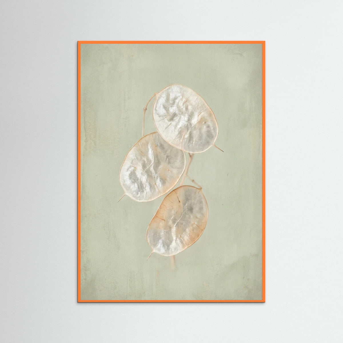 Orange Wood Blush Bloom