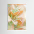 Orange Wood Blushing Bloom