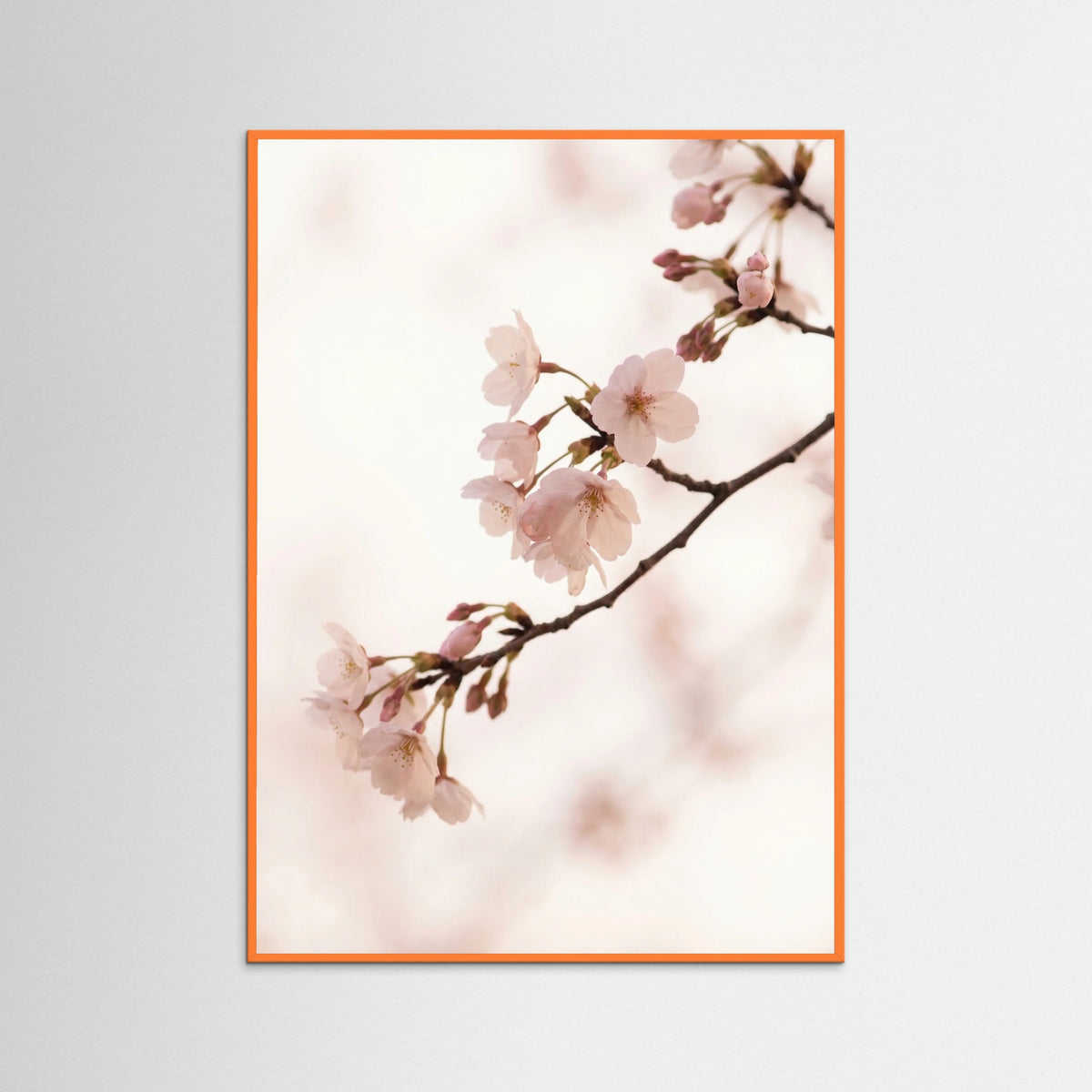 Orange Wood Blushing Branches