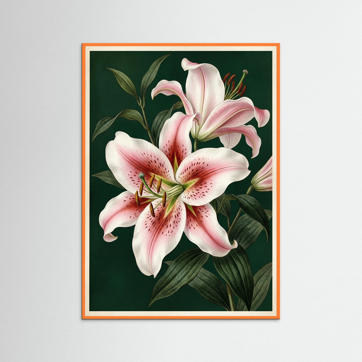 Orange Wood Blushing Peony Blossom