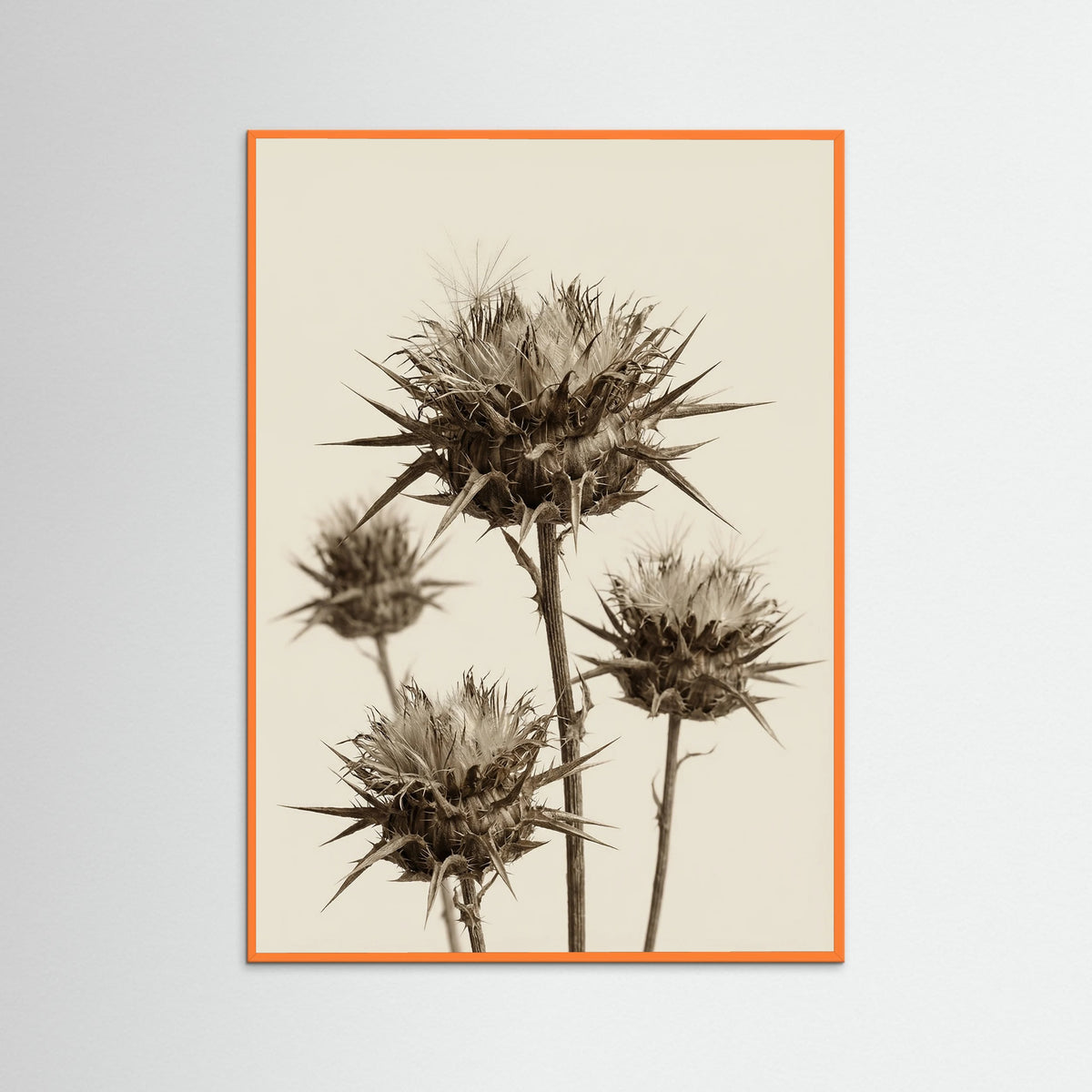 Orange Wood Botanical Elegance