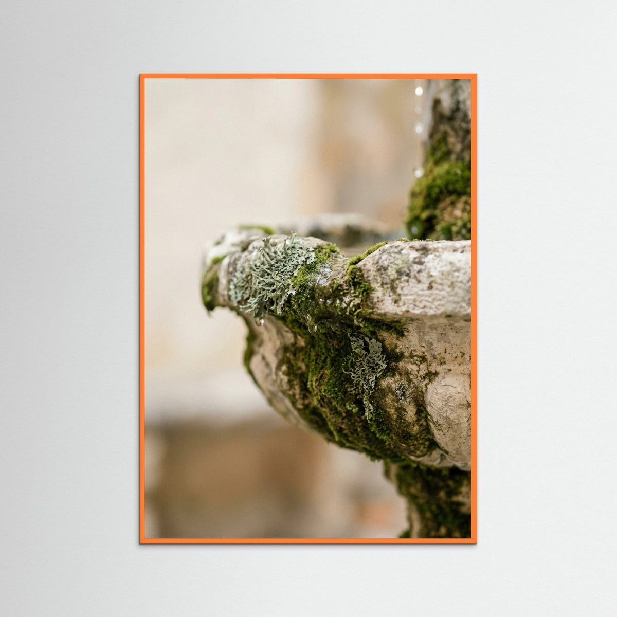 Orange Wood Botanical Embrace