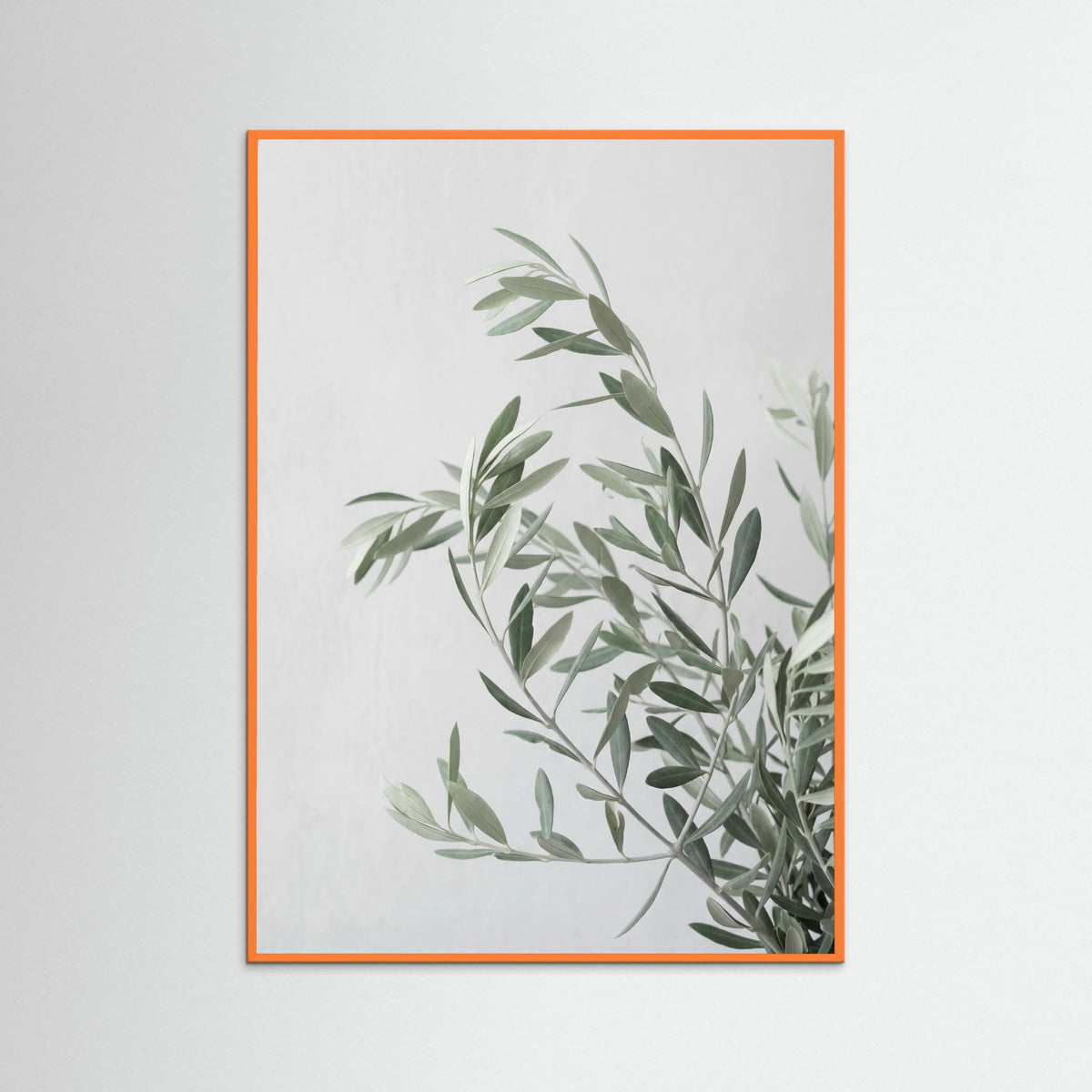 Orange Wood Botanical Grace