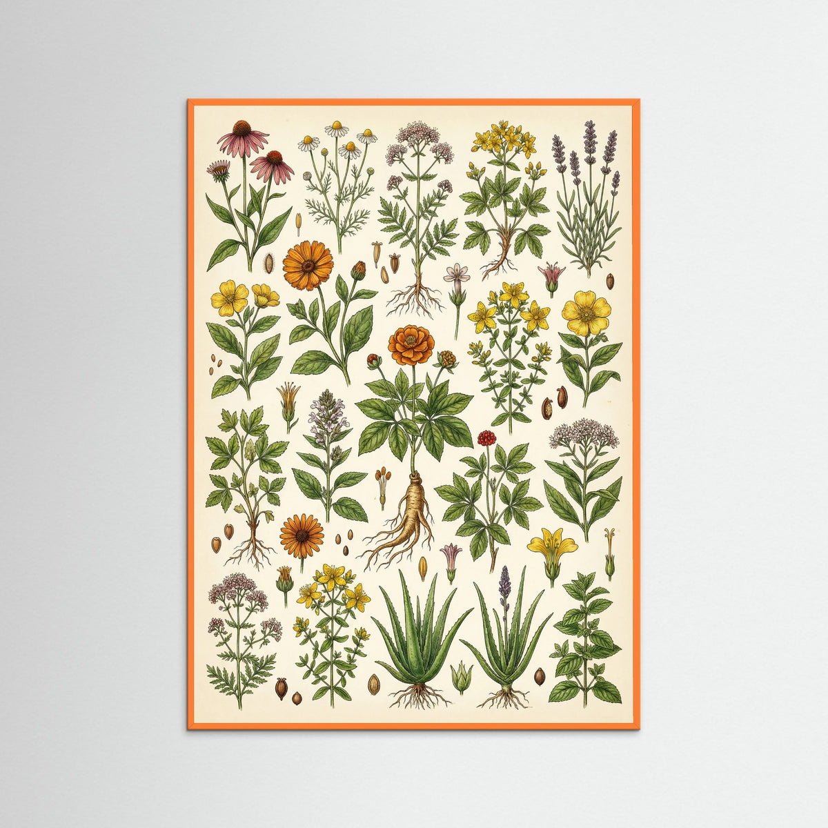 Orange Wood Botanical Harvest