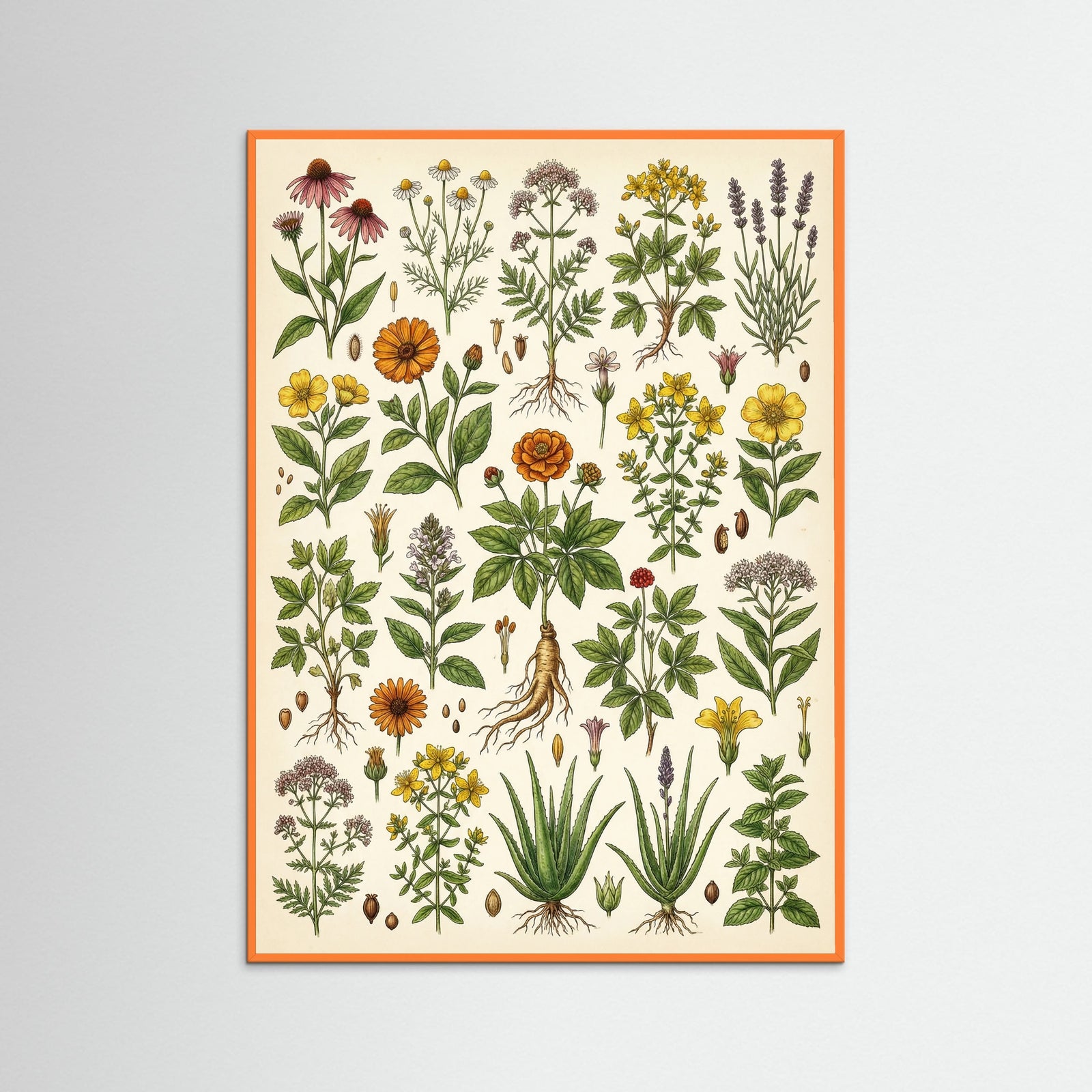 Orange Wood Botanical Harvest