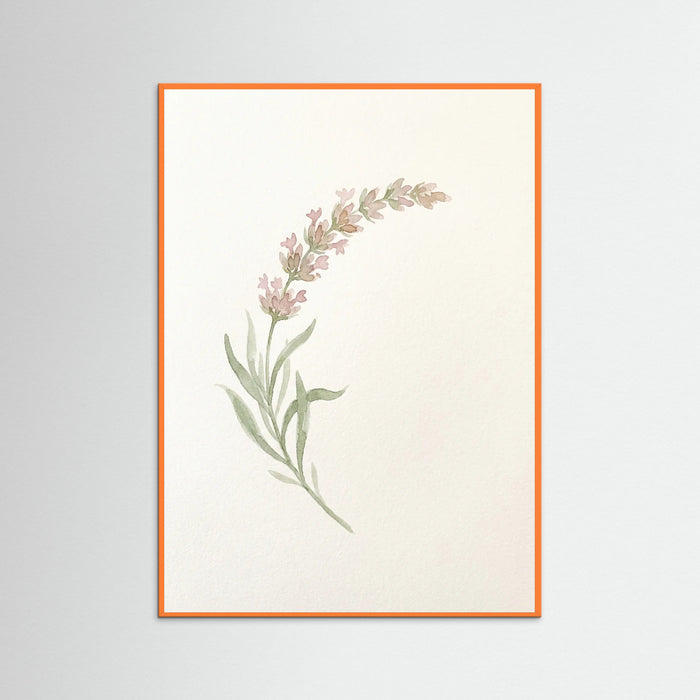Orange Wood Botanical Whisper