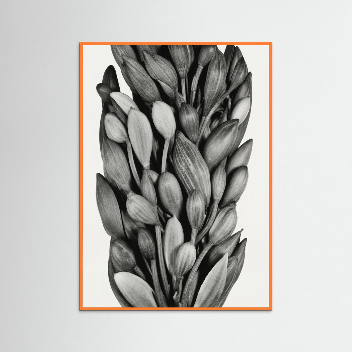 Orange Wood Budding Forms