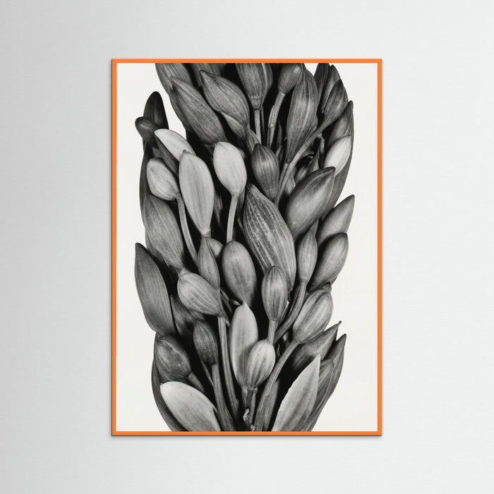 Orange Wood Budding Forms