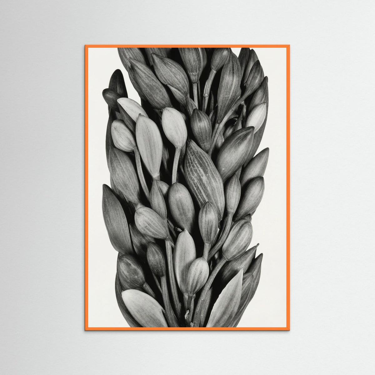 Orange Wood Budding Forms