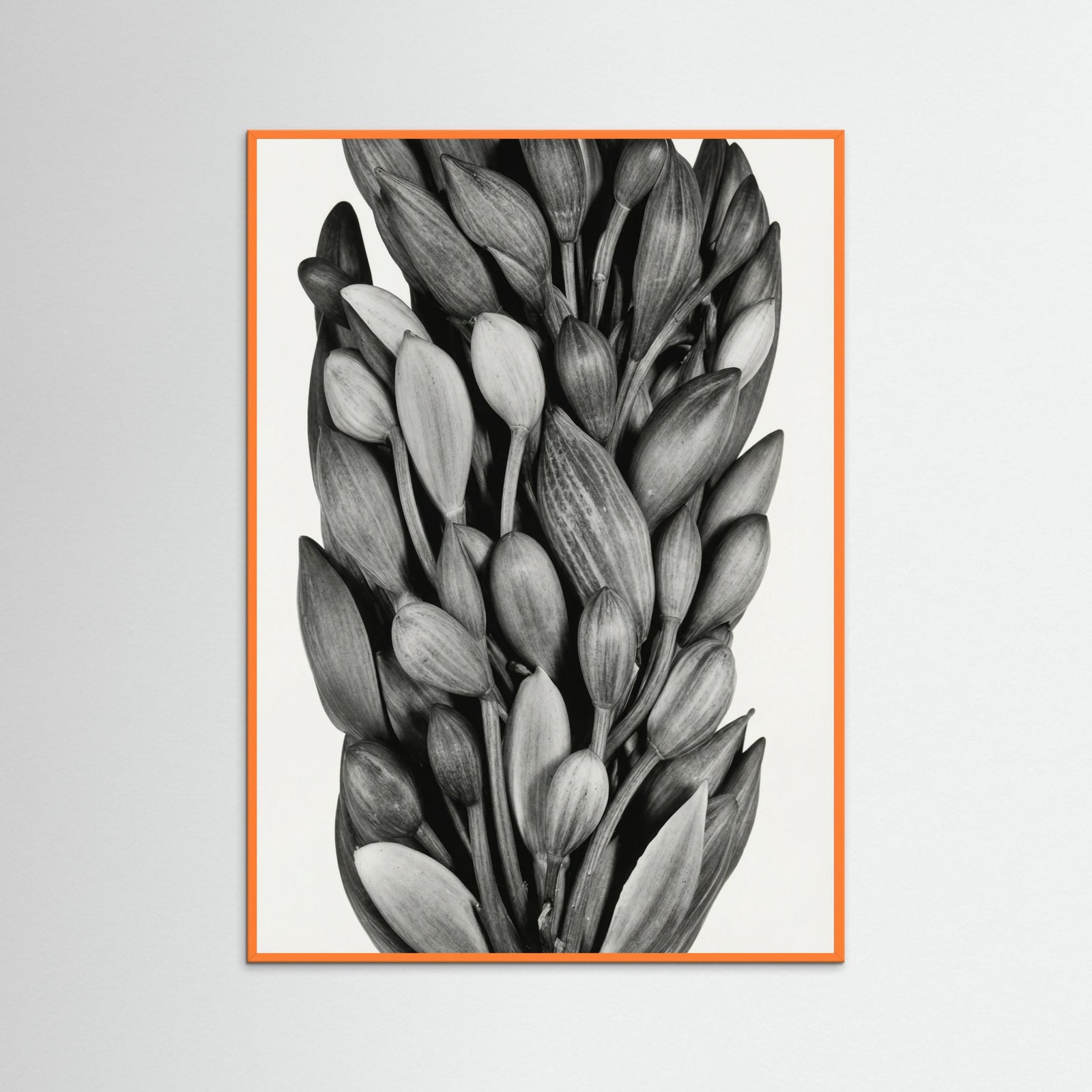 Orange Wood Budding Forms