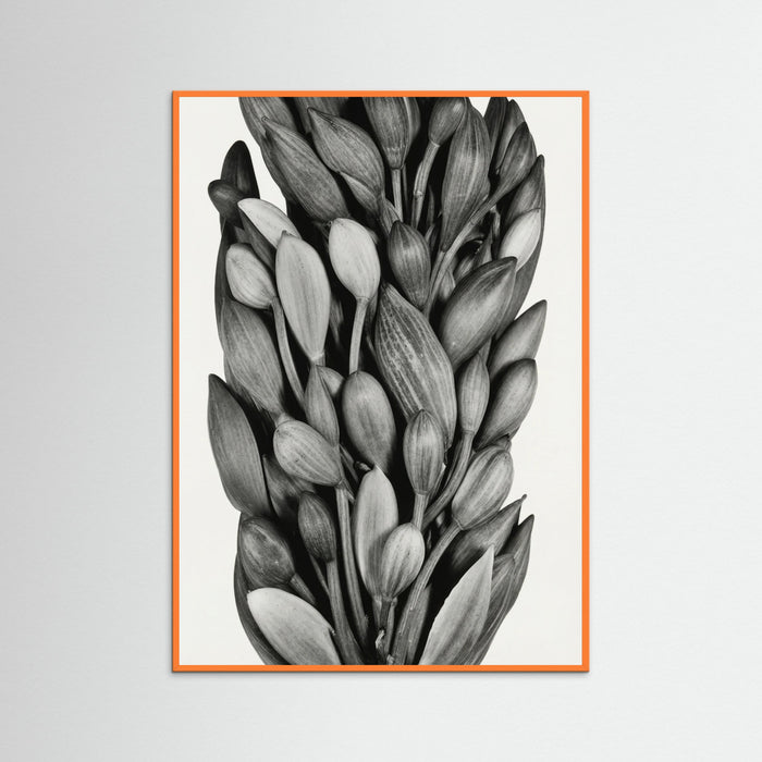 Orange Wood Budding Forms