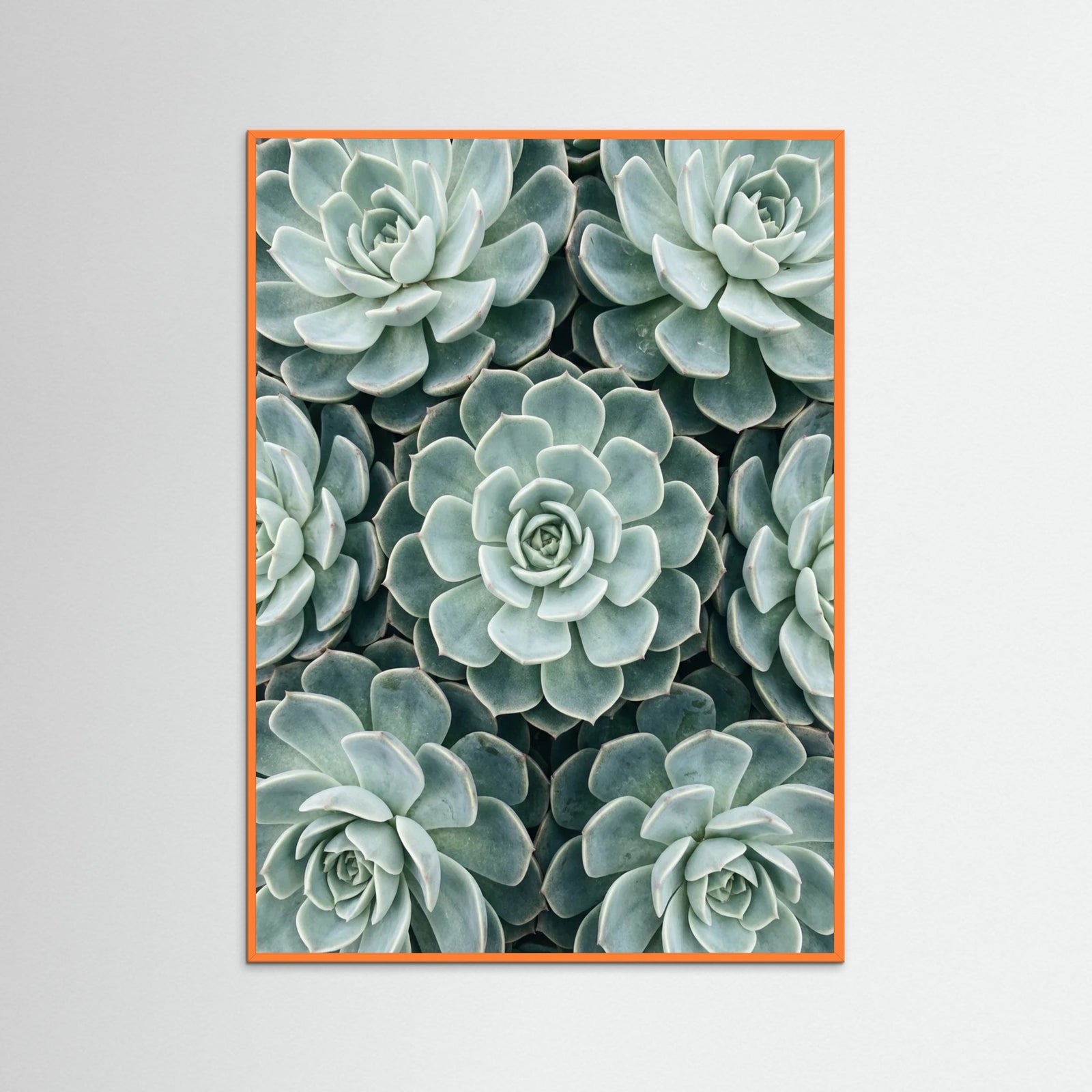 Orange Wood Cactus Array