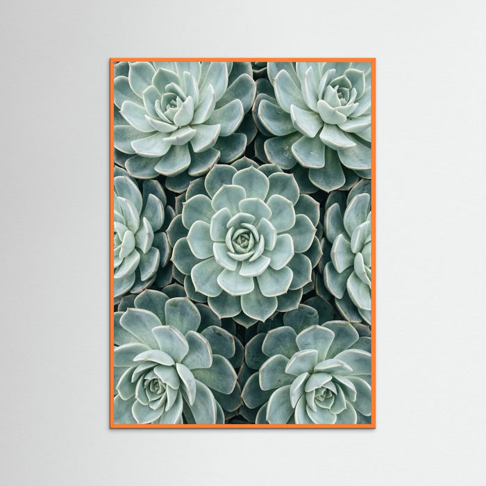 Orange Wood Cactus Array