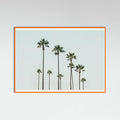 Póster Cali Palms – póster e impresión artística