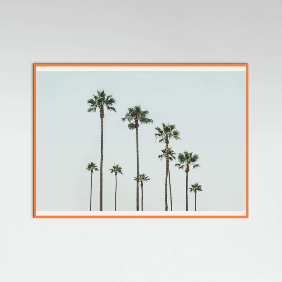 Póster Cali Palms – póster e impresión artística