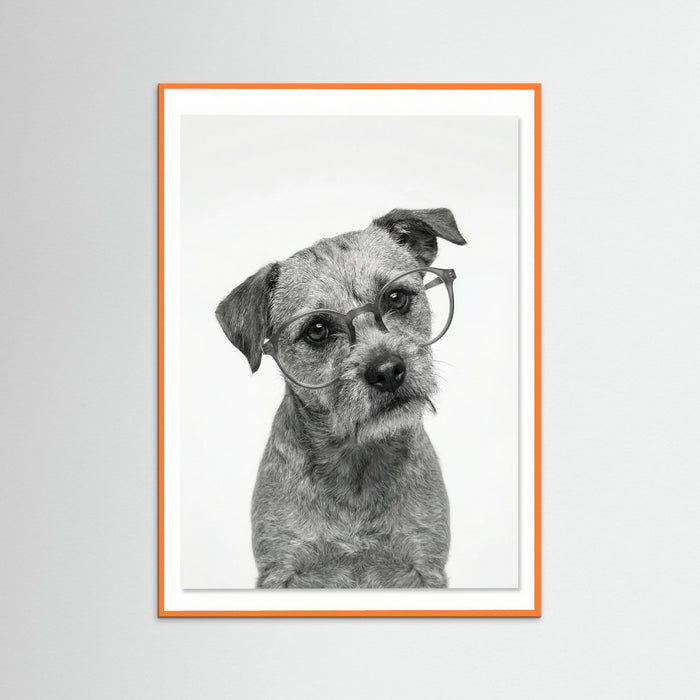 Orange Wood Canine Companions