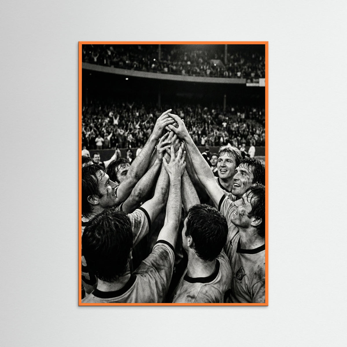 Orange Wood Champions Gaze