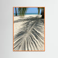 Orange Wood Coastal Palm Breeze