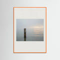 Orange Wood Coastal Paths