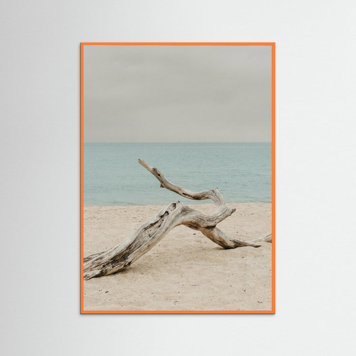 Orange Wood Coastal Seren