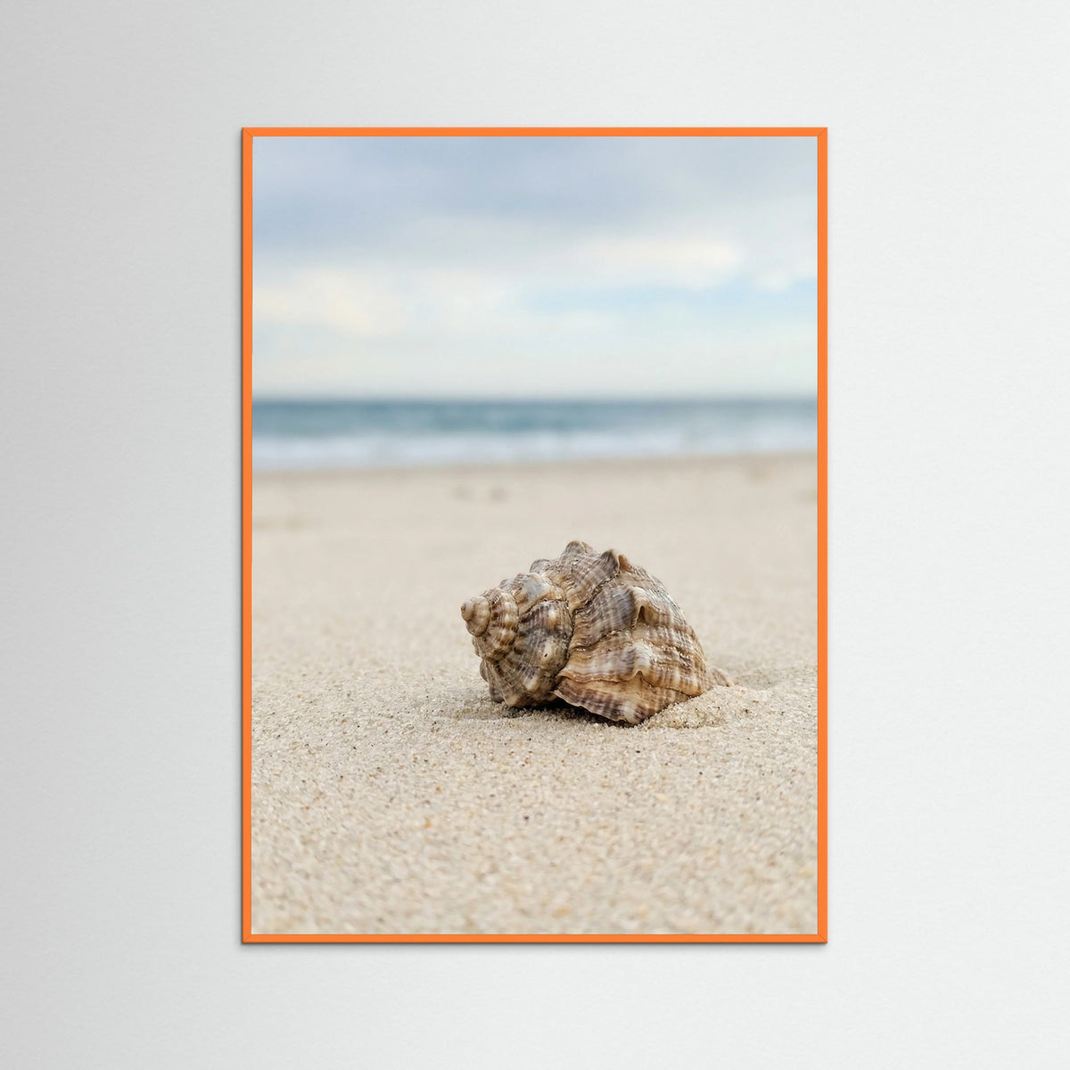 Orange Wood Coastal Serenity Beige