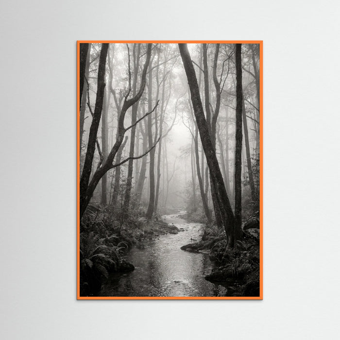 Orange Wood Coastal Serenity