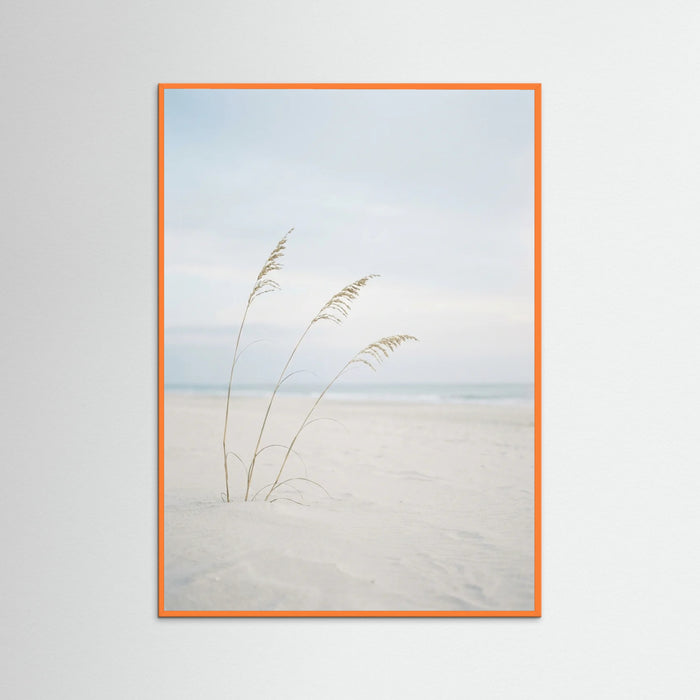 Orange Wood Coastal Serenity