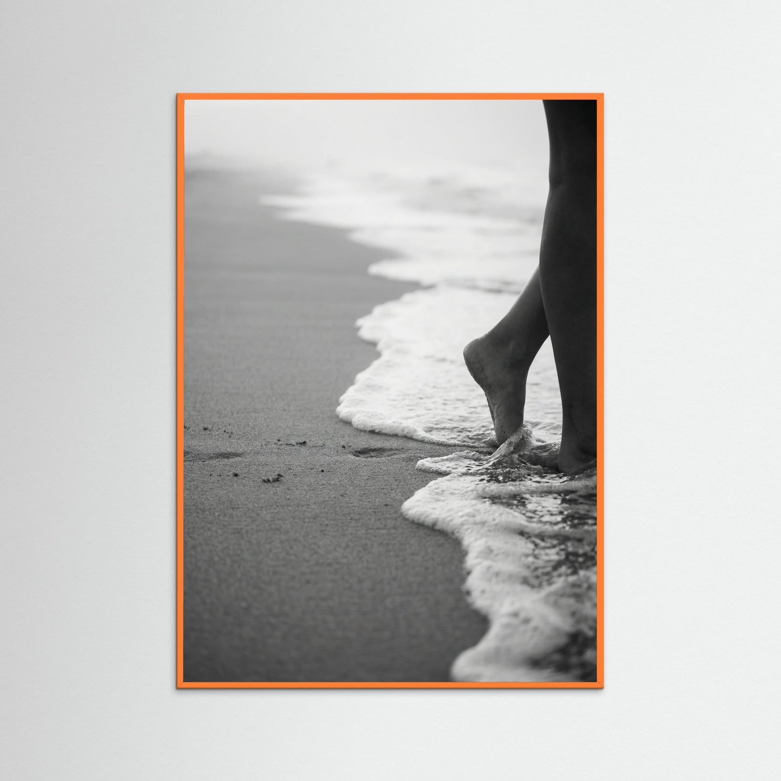 Orange Wood Coastal Wanderer