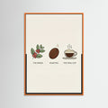 Orange Wood Coffee Brew Guide