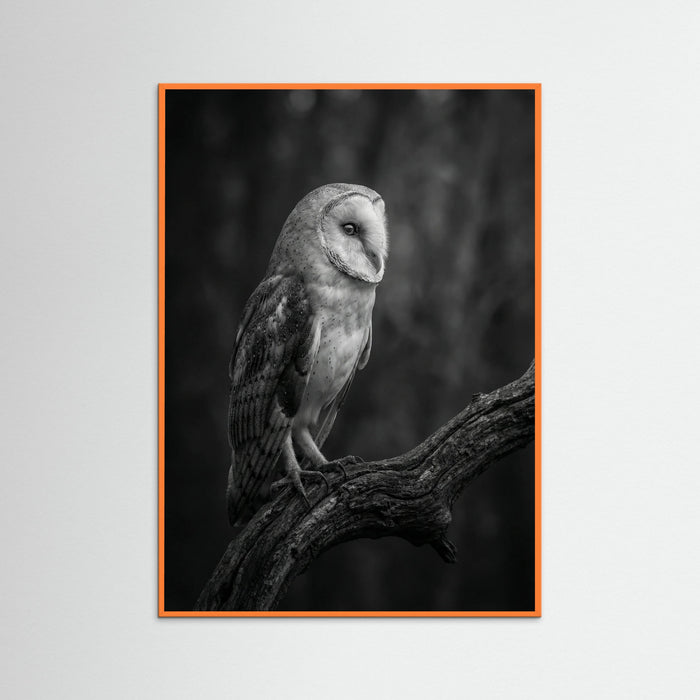 Orange Wood Contrasting Companions