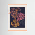 Affiche Coral Garden Careless Reef – affiche et impression d’art