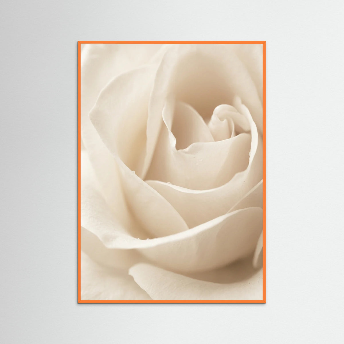 Orange Wood Creamy Blooms