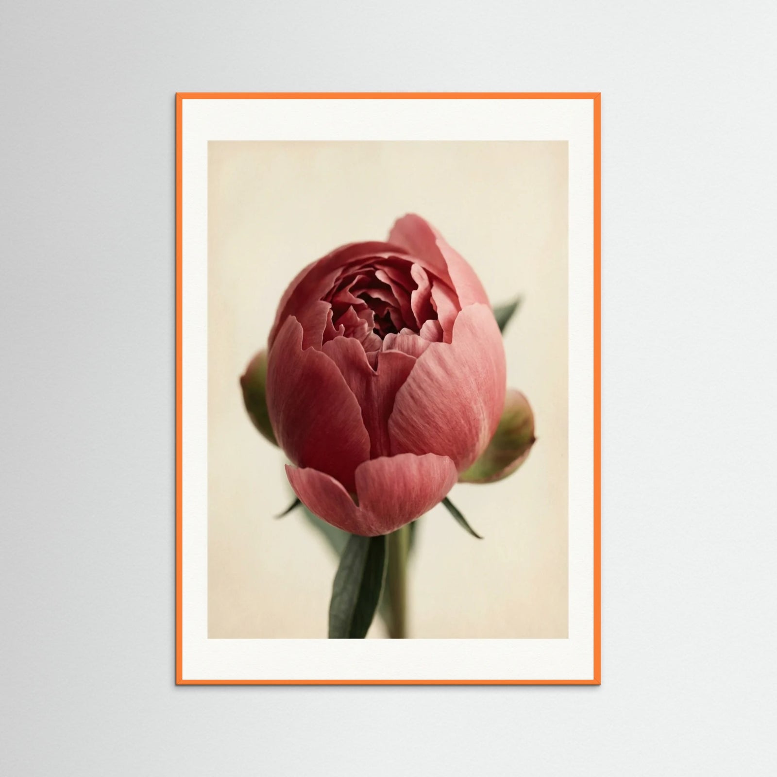 Orange Wood Crimson Trio