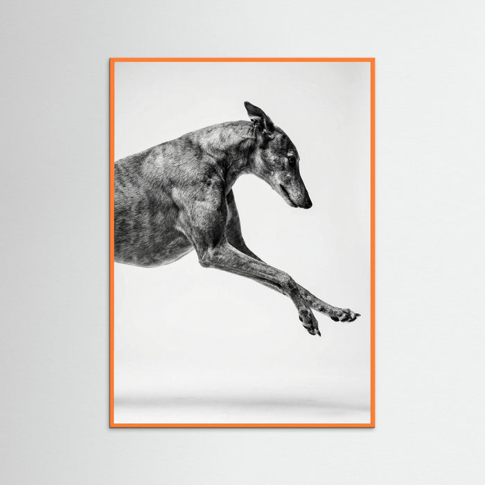 Orange Wood Dancing Stripes