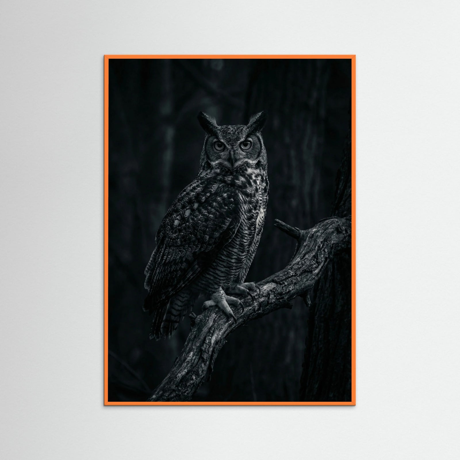 Orange Wood Dark Congregation