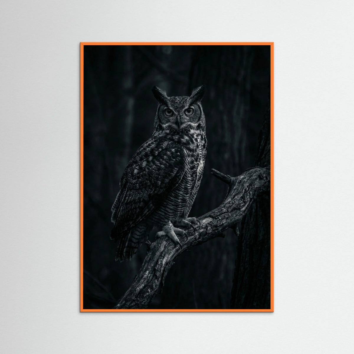 Orange Wood Dark Congregation