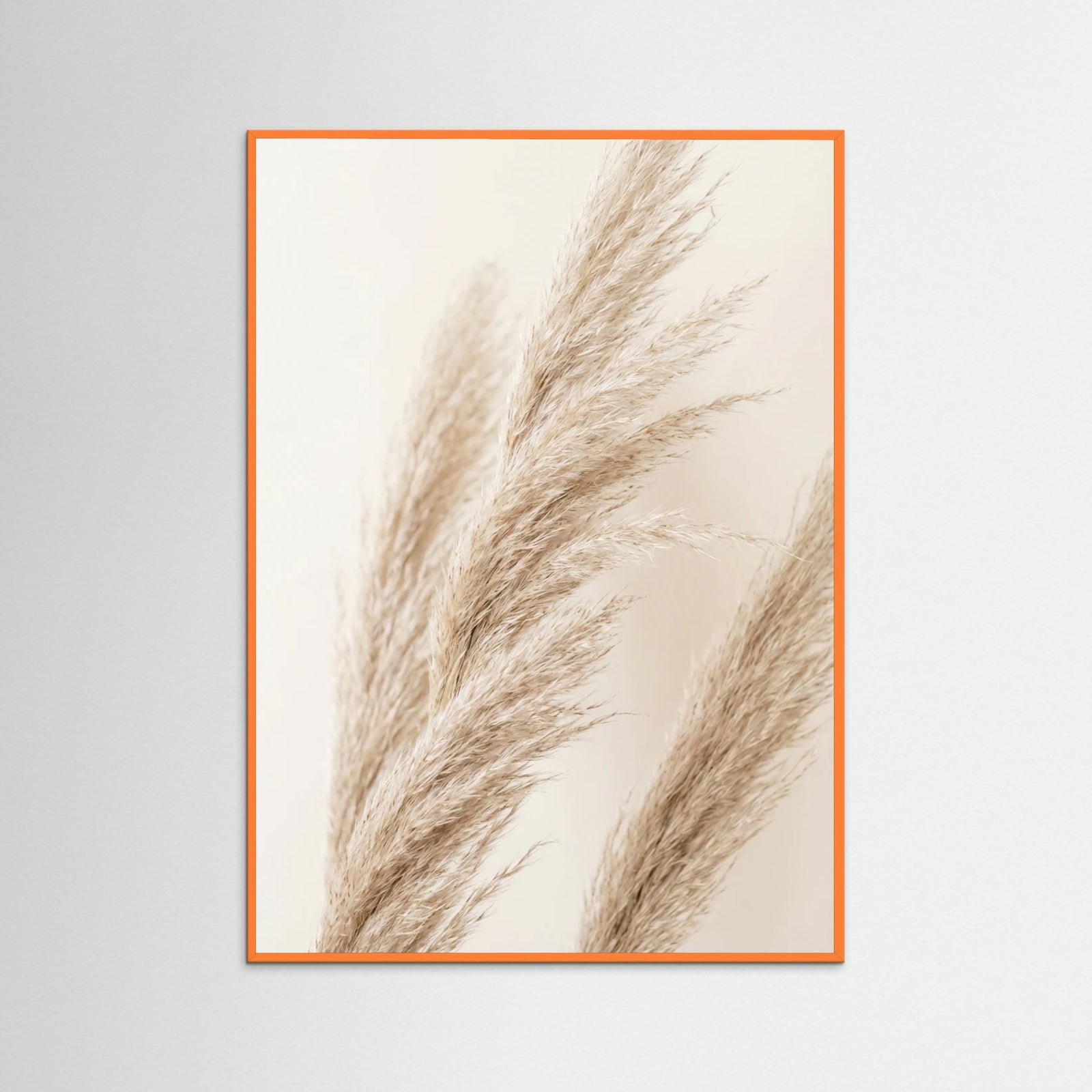 Orange Wood Desert Fans