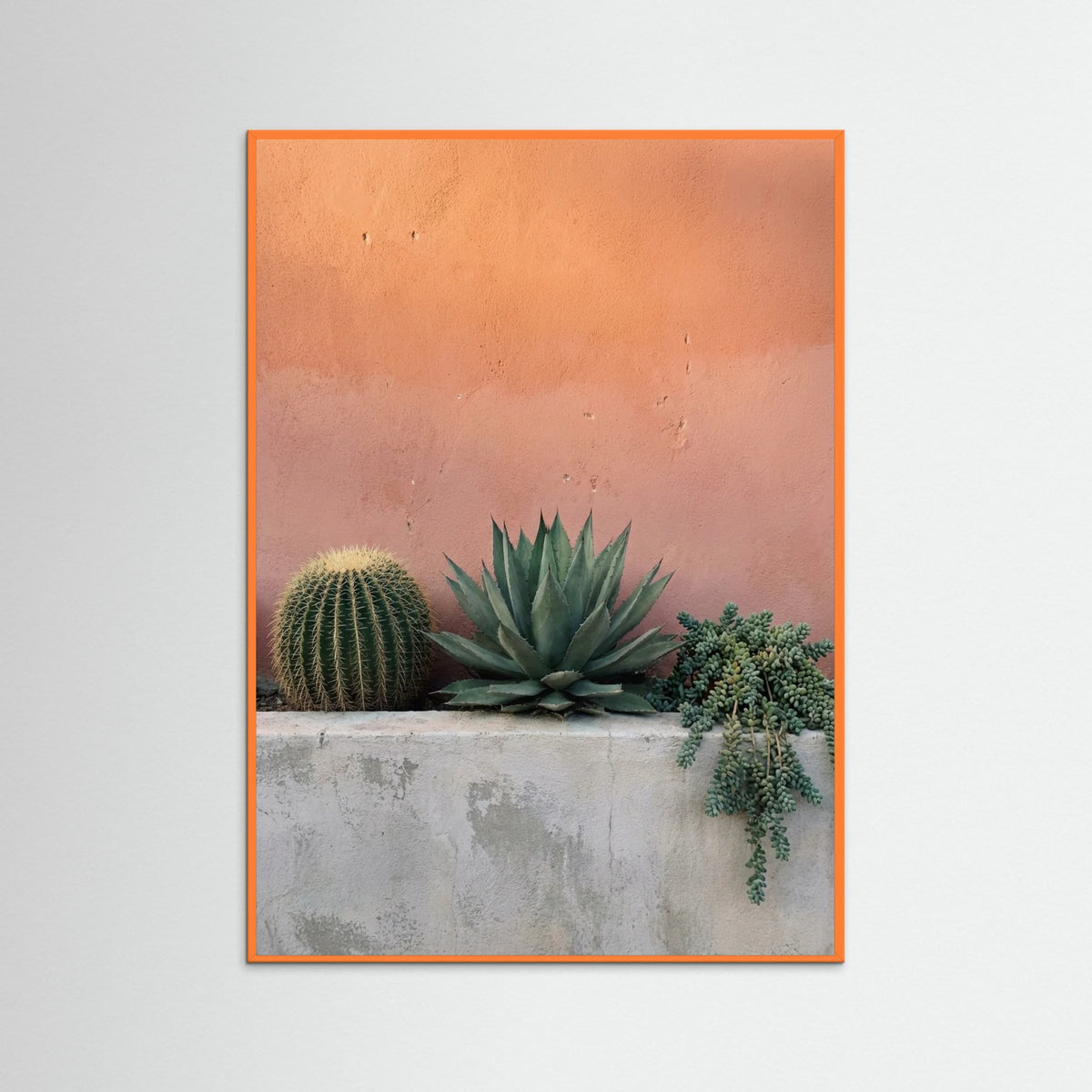 Orange Wood Desert Sentinel