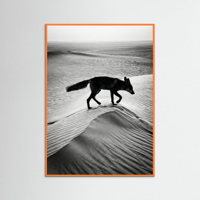 Orange Wood Desert Spirit