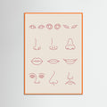 Orange Wood Diverse Forms