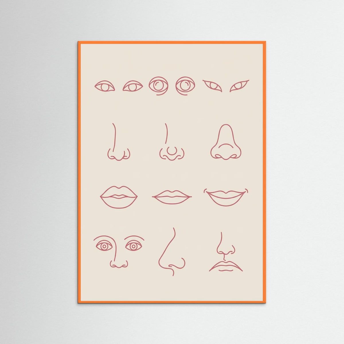 Orange Wood Diverse Forms