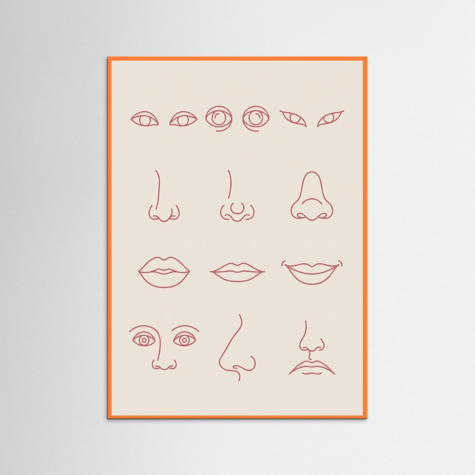 Orange Wood Diverse Forms