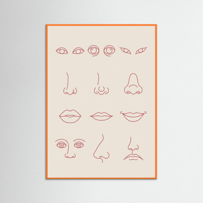 Orange Wood Diverse Forms