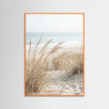 Orange Wood Dune Path Serenity