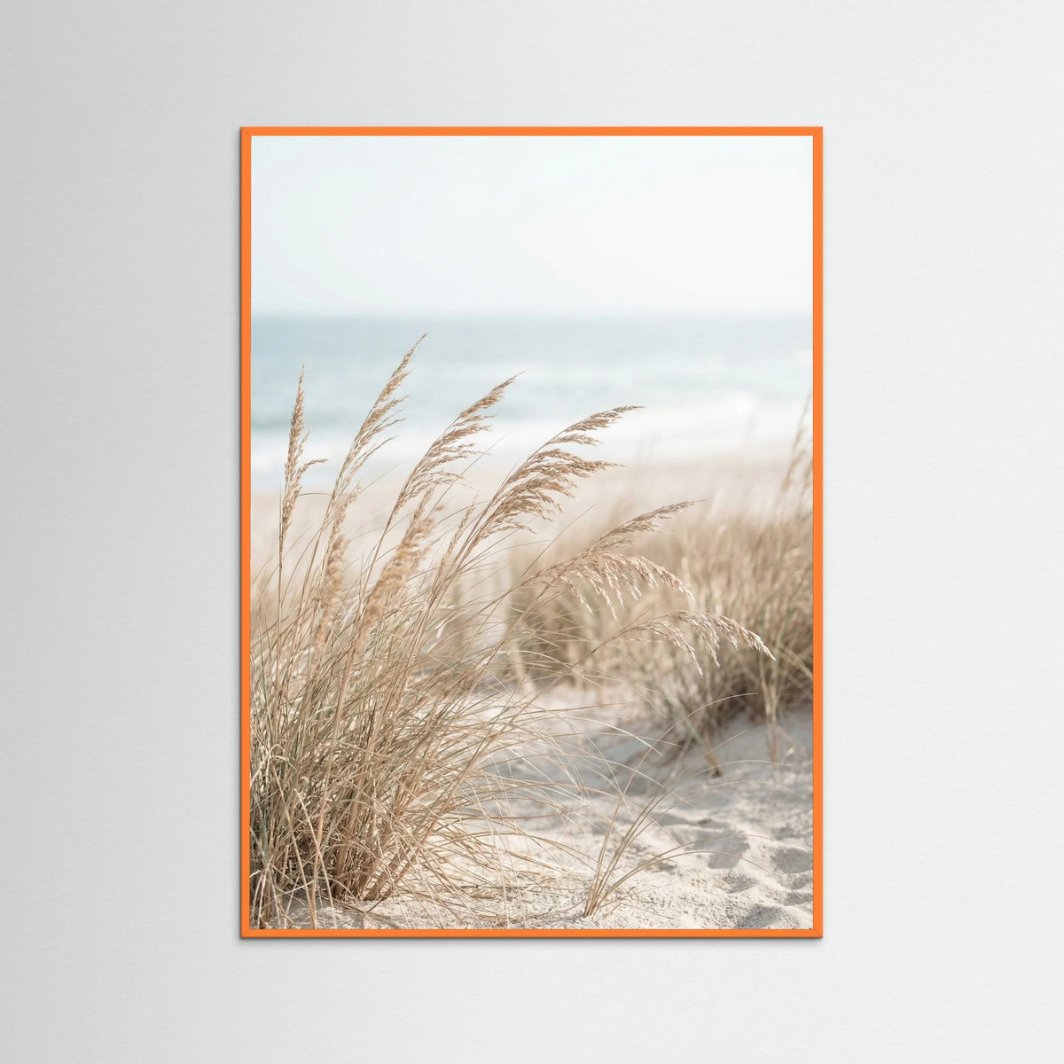 Orange Wood Dune Path Serenity