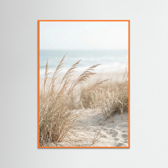 Orange Wood Dune Path Serenity