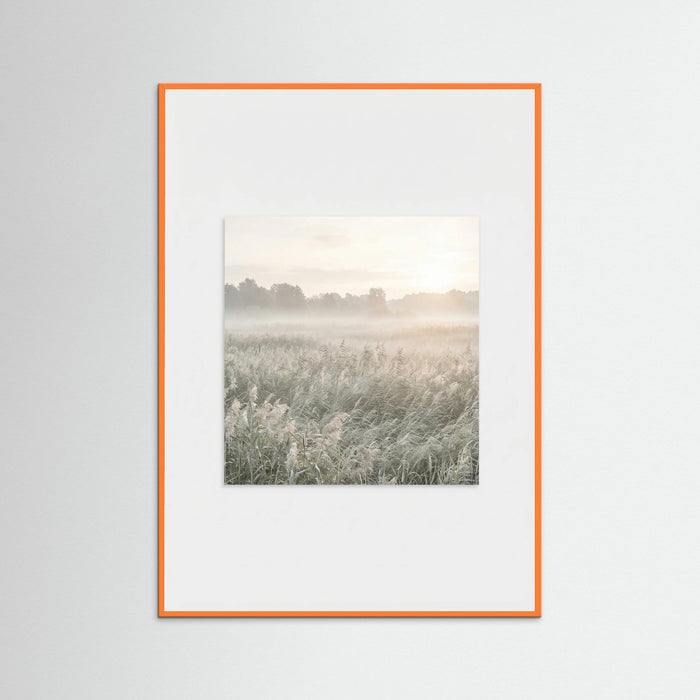 Orange Wood Dune Sunset Serenity