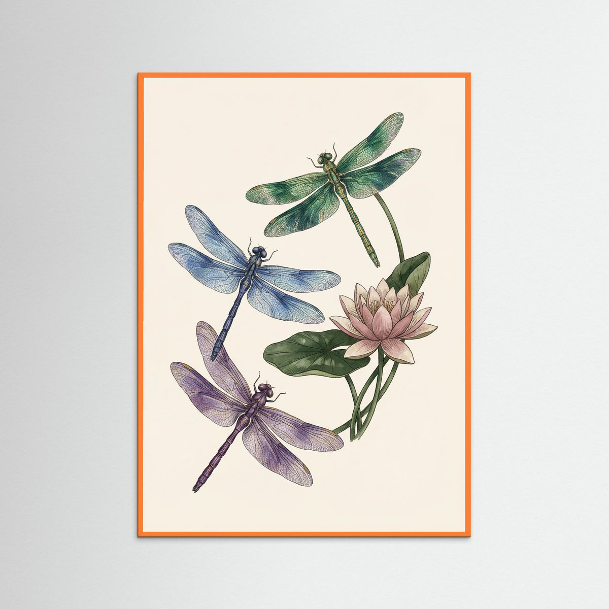 Orange Wood Elegant Entomology